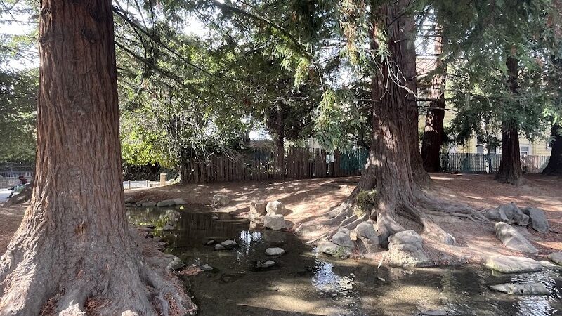 Frog Park - Oakland, CA