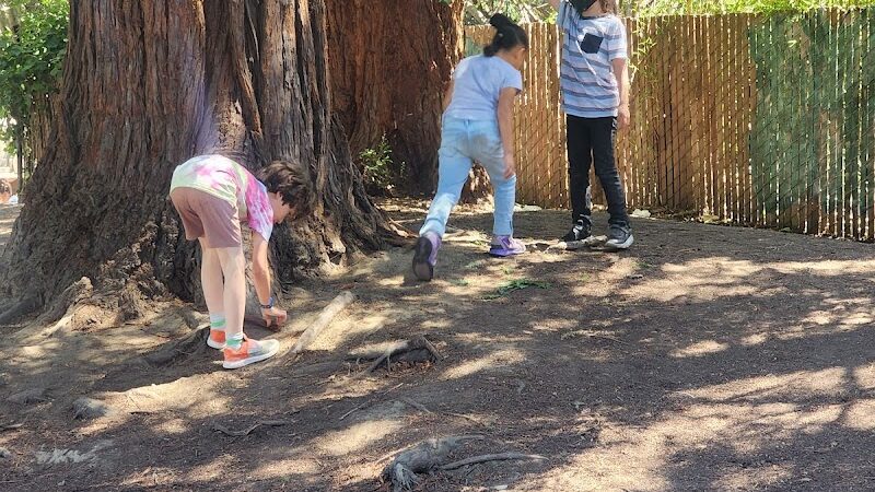 Frog Park - Oakland, CA