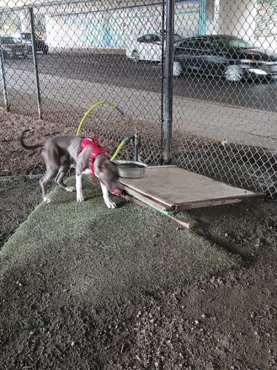 Hardy Dog Park - Oakland, CA
