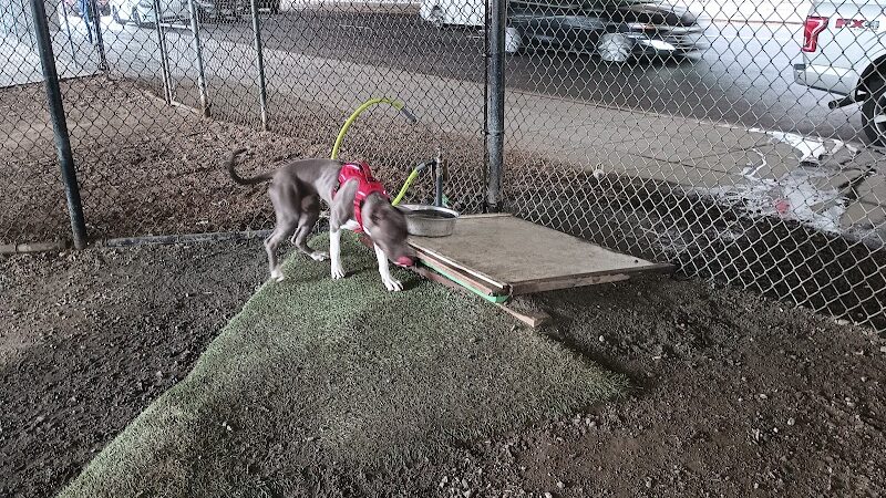 Hardy Dog Park - Oakland, CA