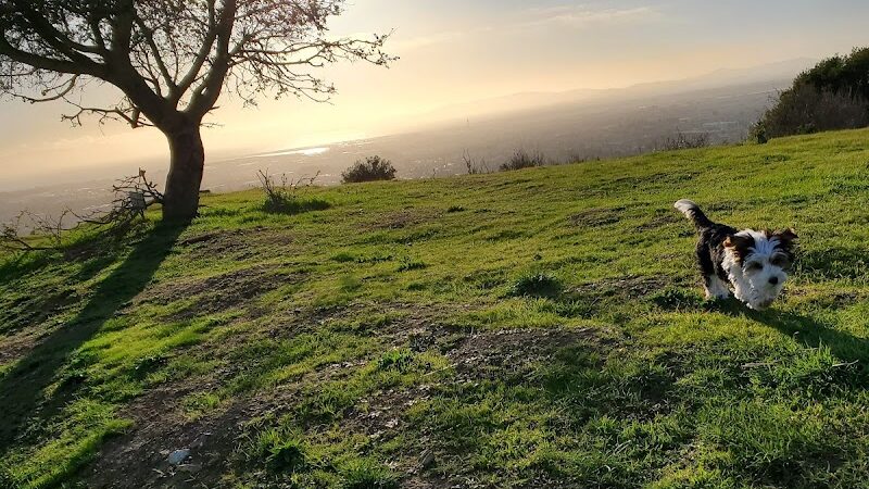 Jeep Trail - Oakland, CA