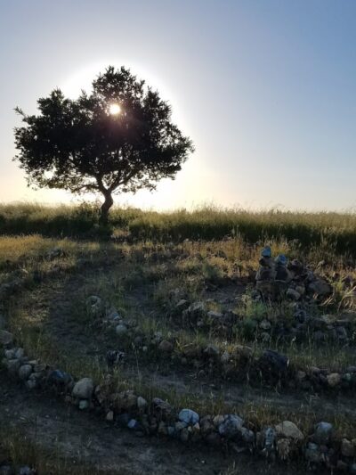 Jeep Trail - Oakland, CA