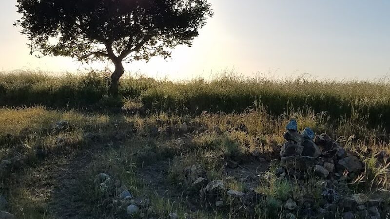 Jeep Trail - Oakland, CA