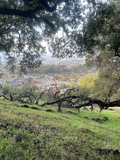 Jeep Trail - Oakland, CA