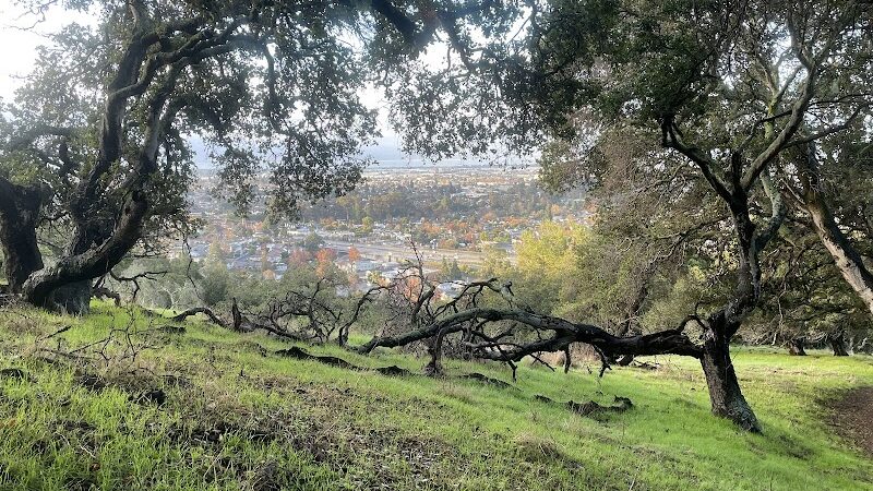Jeep Trail - Oakland, CA