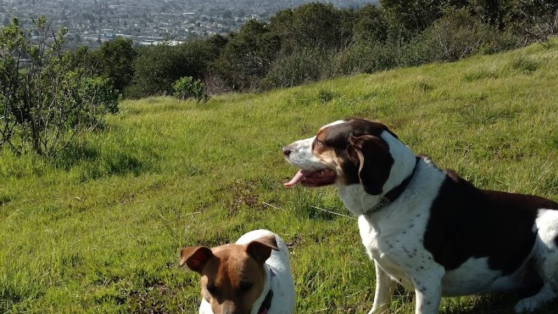 Jeep Trail - Oakland, CA