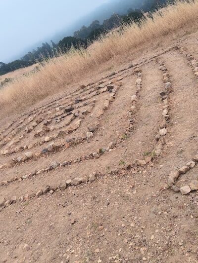 Jeep Trail - Oakland, CA