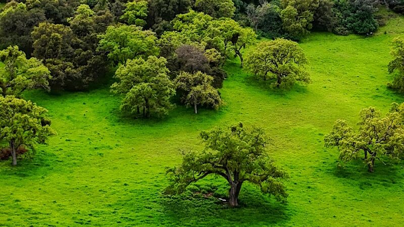 Jefferson Square Park - Oakland, CA