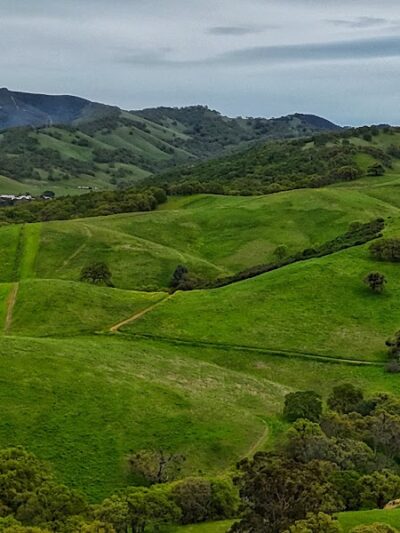 Jefferson Square Park - Oakland, CA