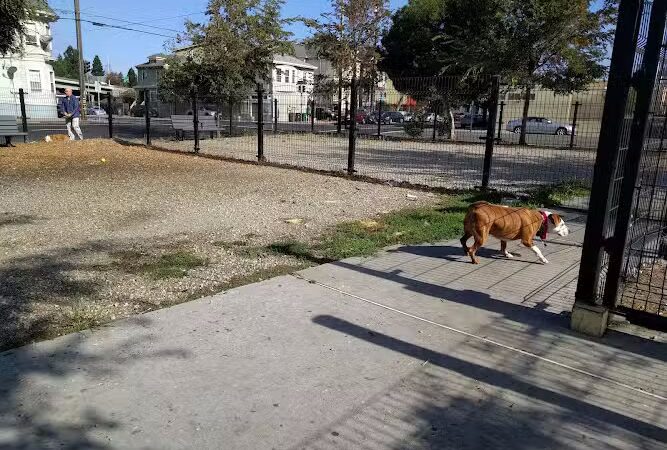 Jefferson Square Park - Oakland, CA