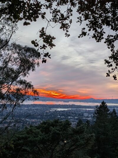 Joaquin Miller Dog Park - Oakland, CA