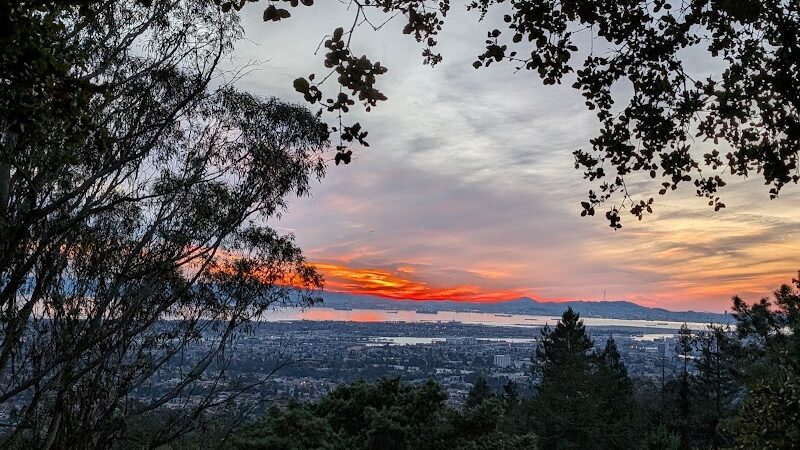 Joaquin Miller Dog Park - Oakland, CA