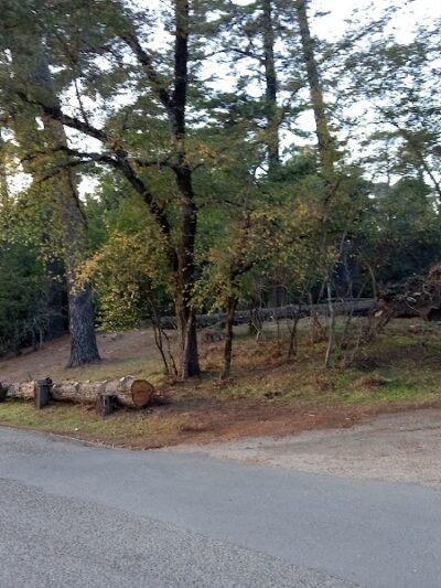 Joaquin Miller Dog Park - Oakland, CA