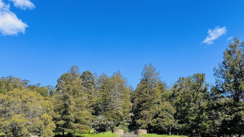 Joaquin Miller Park - Oakland, CA