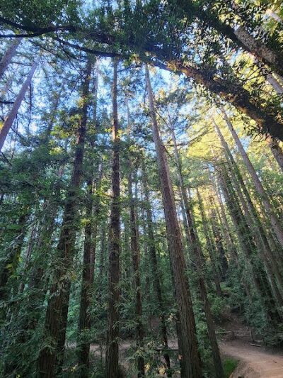 Joaquin Miller Park - Oakland, CA