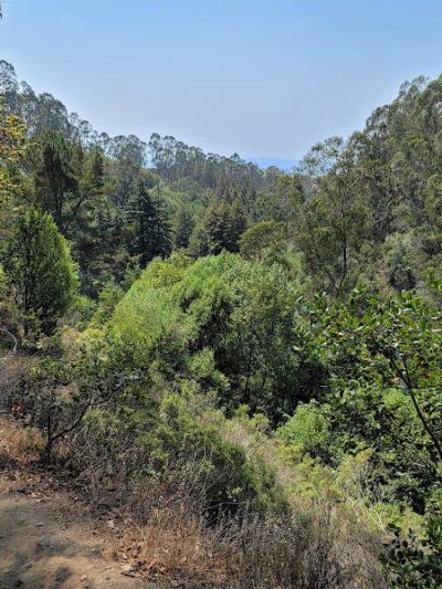 Joaquin Miller Park - Oakland, CA