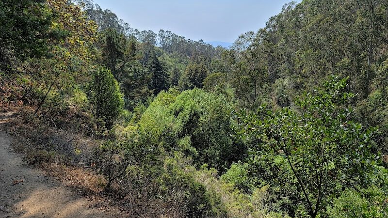 Joaquin Miller Park - Oakland, CA