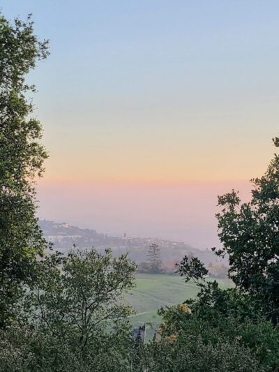Joaquin Miller Park - Oakland, CA