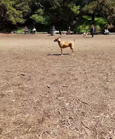 Joaquin Miller Park - Oakland, CA