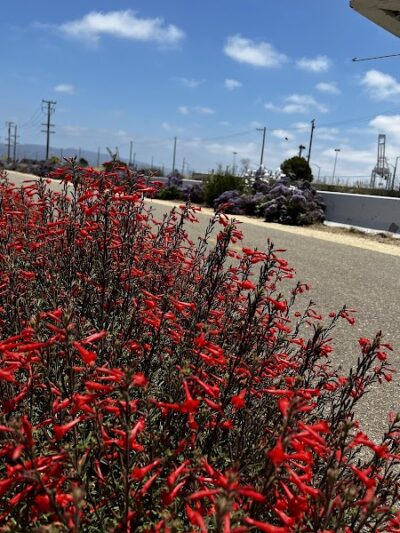 Judge John Sutter Regional Shoreline - Oakland, CA