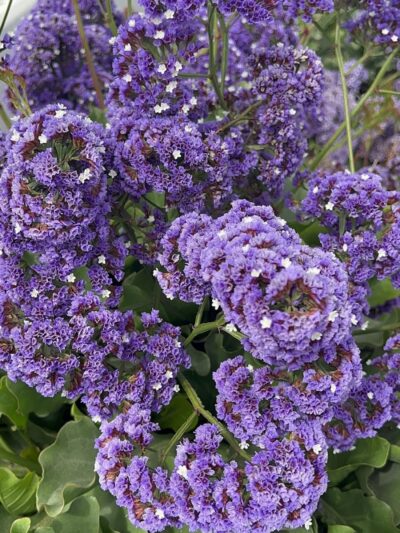 Judge John Sutter Regional Shoreline - Oakland, CA