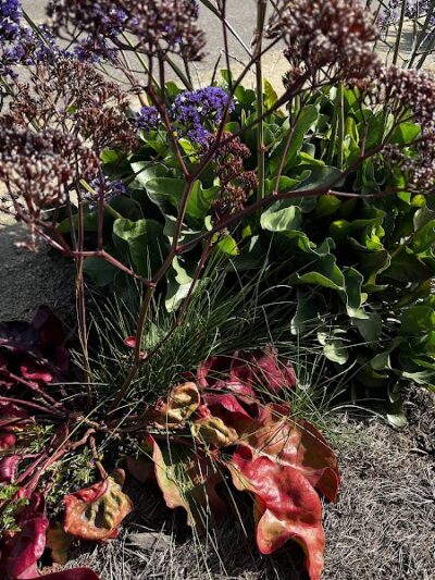 Judge John Sutter Regional Shoreline - Oakland, CA