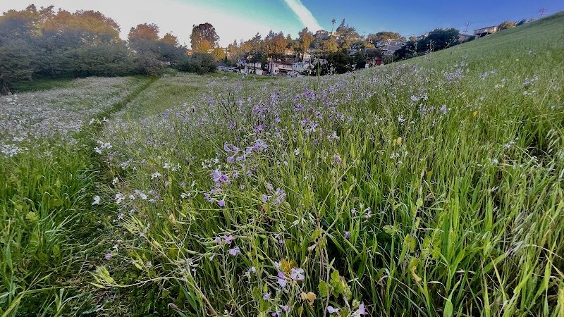 King Estate Open Space Park - Oakland, CA