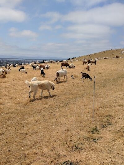 King Estate Open Space Park - Oakland, CA