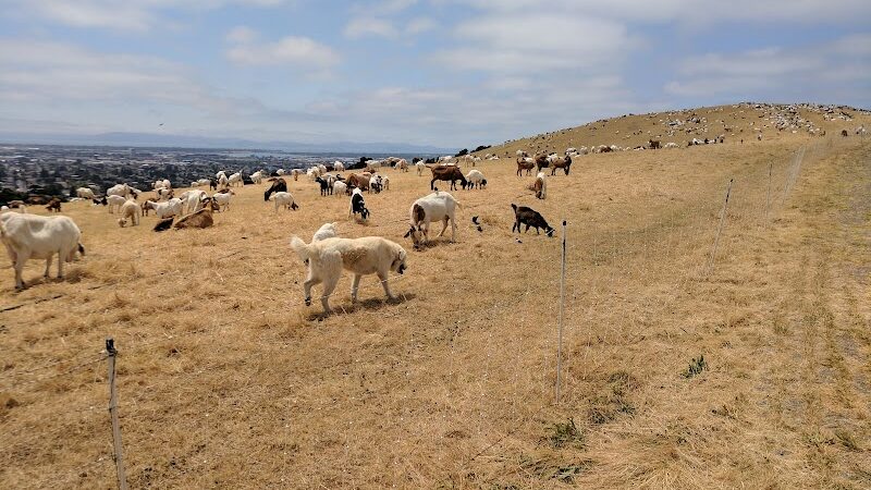 King Estate Open Space Park - Oakland, CA
