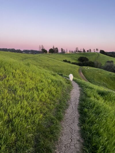 King Estate Open Space Park - Oakland, CA