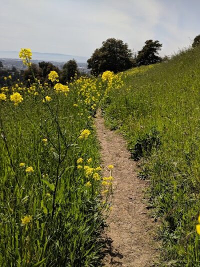 King Estate Open Space Park - Oakland, CA