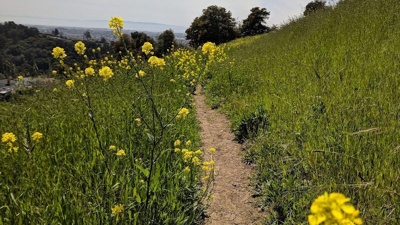 King Estate Open Space Park - Oakland, CA