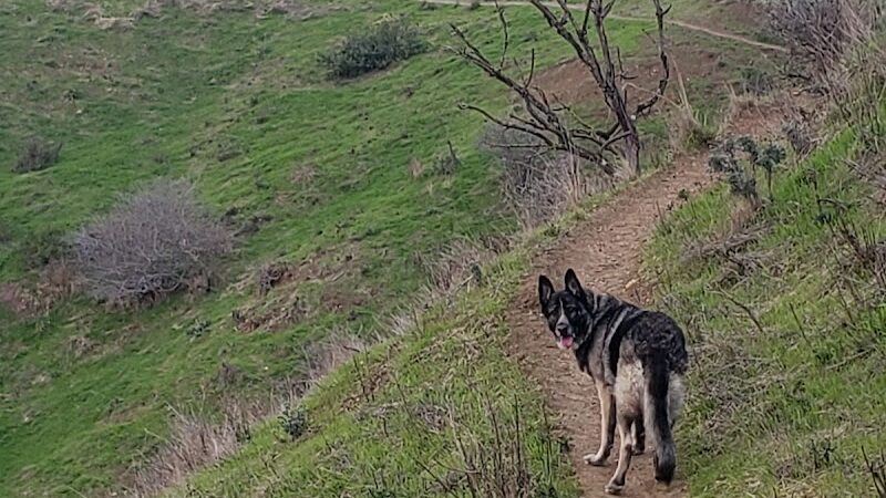 King Estate Open Space Park - Oakland, CA