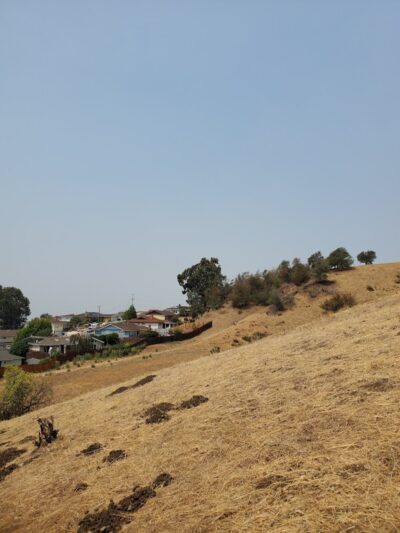 King Estate Open Space Park - Oakland, CA