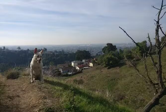 King Estate Open Space Park - Oakland, CA