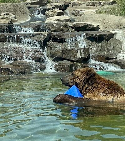 Knowland Park - Oakland, CA