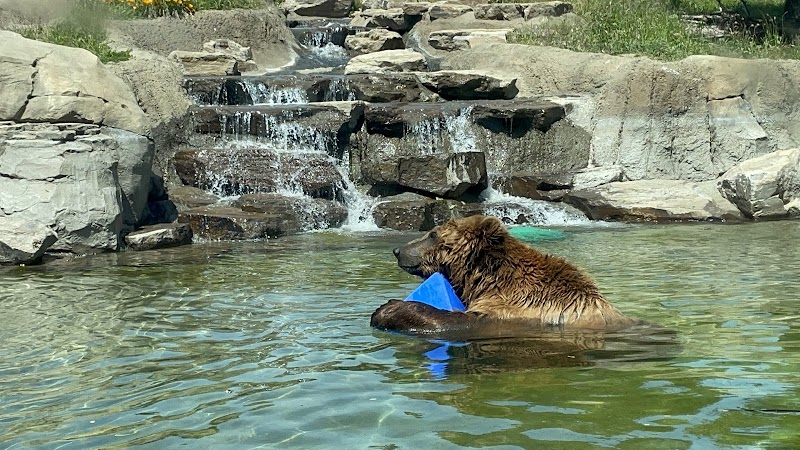 Knowland Park - Oakland, CA