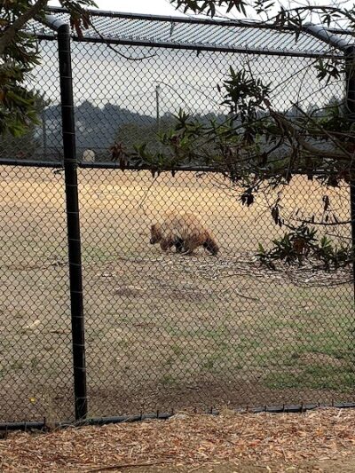 Knowland Park - Oakland, CA