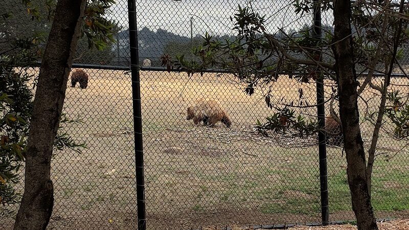 Knowland Park - Oakland, CA