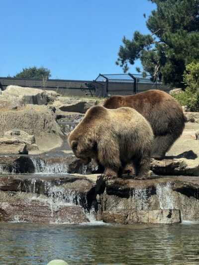 Knowland Park - Oakland, CA