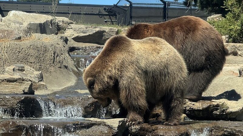 Knowland Park - Oakland, CA