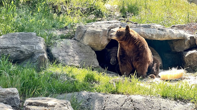 Knowland Park - Oakland, CA