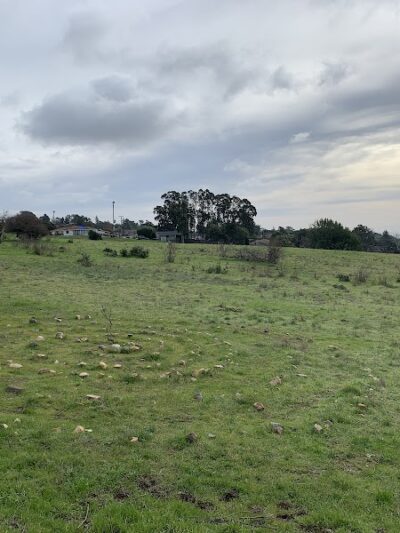 Knowland Park Open Space - Oakland, CA