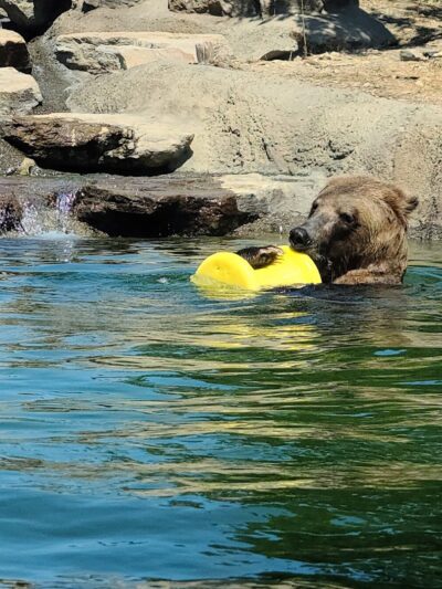 Knowland Park Open Space - Oakland, CA