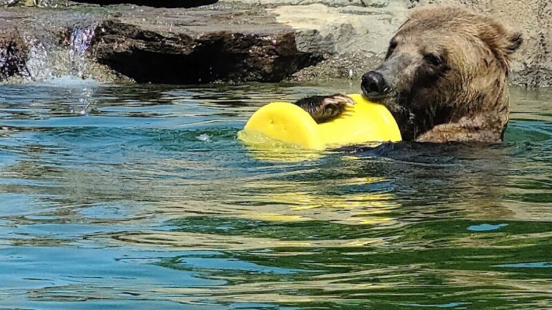 Knowland Park Open Space - Oakland, CA