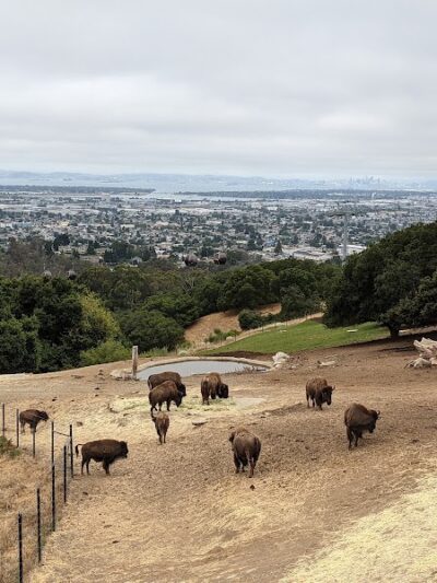 Knowland Park Open Space - Oakland, CA