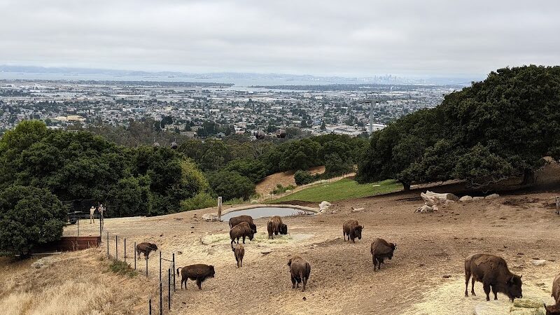 Knowland Park Open Space - Oakland, CA