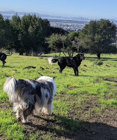 Knowland Park Open Space - Oakland, CA