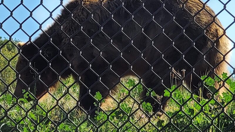 Knowland Park Open Space - Oakland, CA