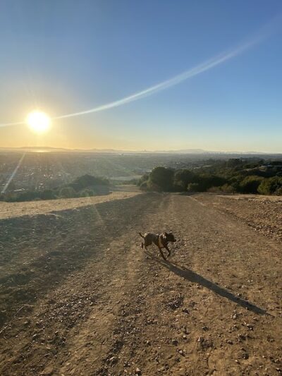 Knowland Park Open Space - Oakland, CA